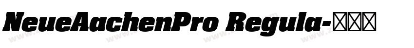 NeueAachenPro Regula字体转换